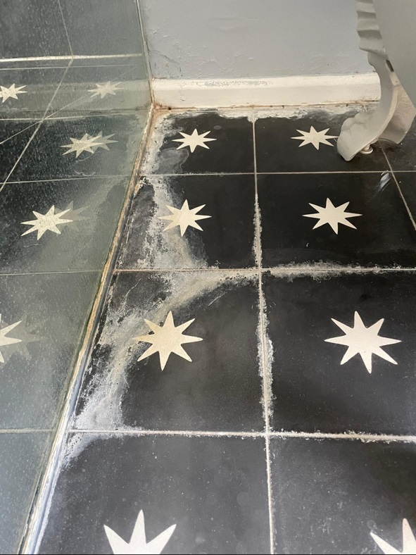 Encaustic Bathroom Tiles Before Cleaning Whitechapel