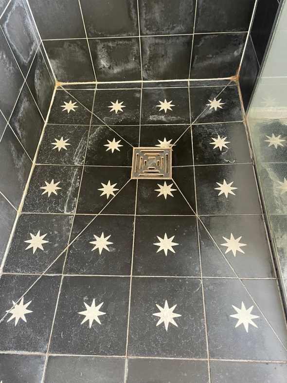 Encaustic Bathroom Tiles Before Cleaning Whitechapel